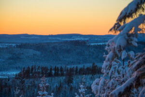 vintervy