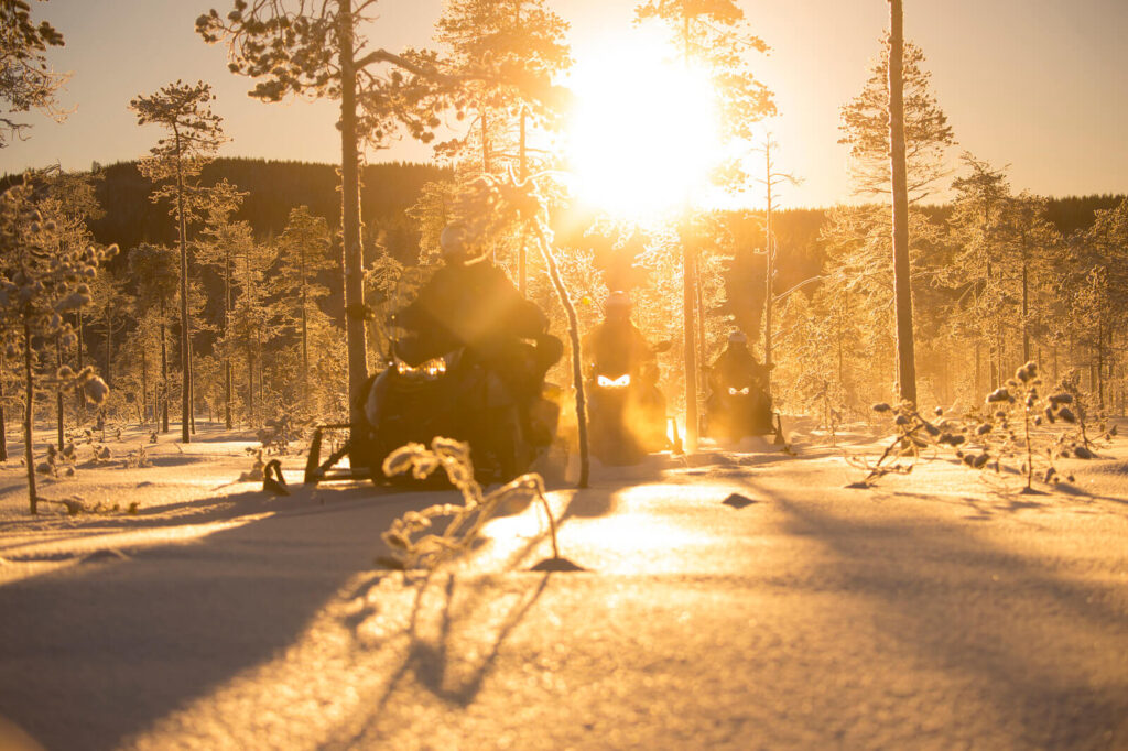 Granö Beckasin Skoter Sol