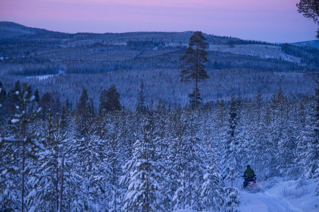 Norrskenssafari på snöskoter