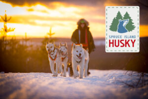 Spruce Island Husky