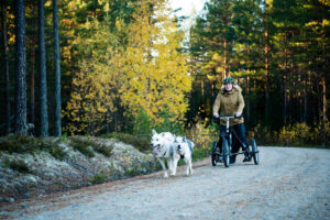 Kickbike