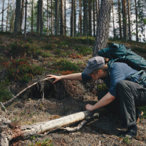 Talking trees - undersöker rötter