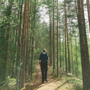 Talking trees skog