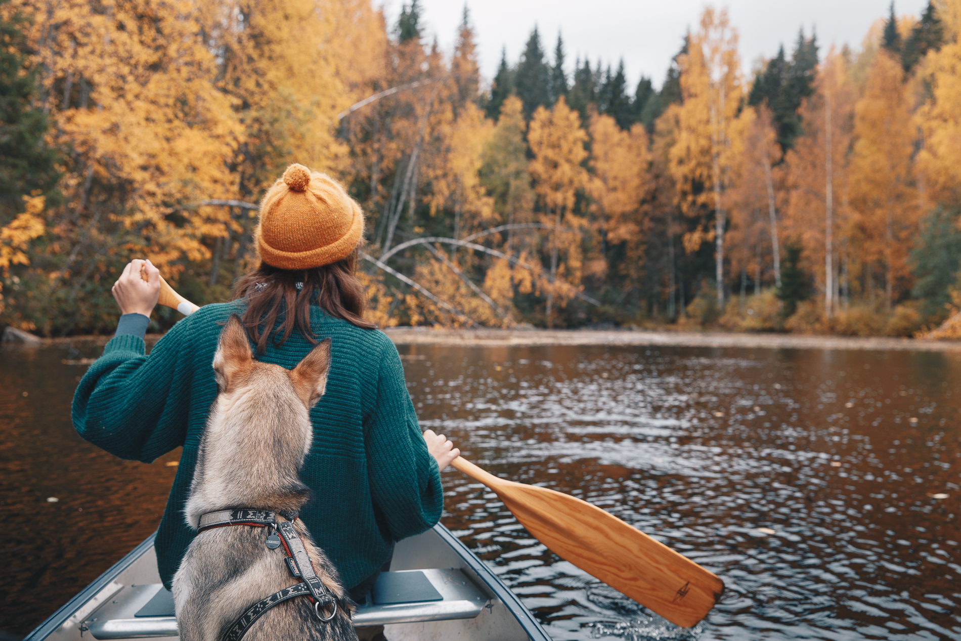 Paddla kanot på hösten