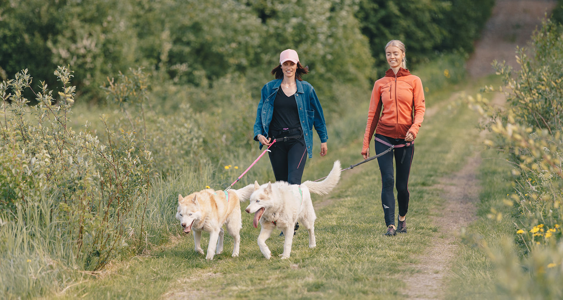 Husky walk