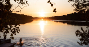 Sommardopp