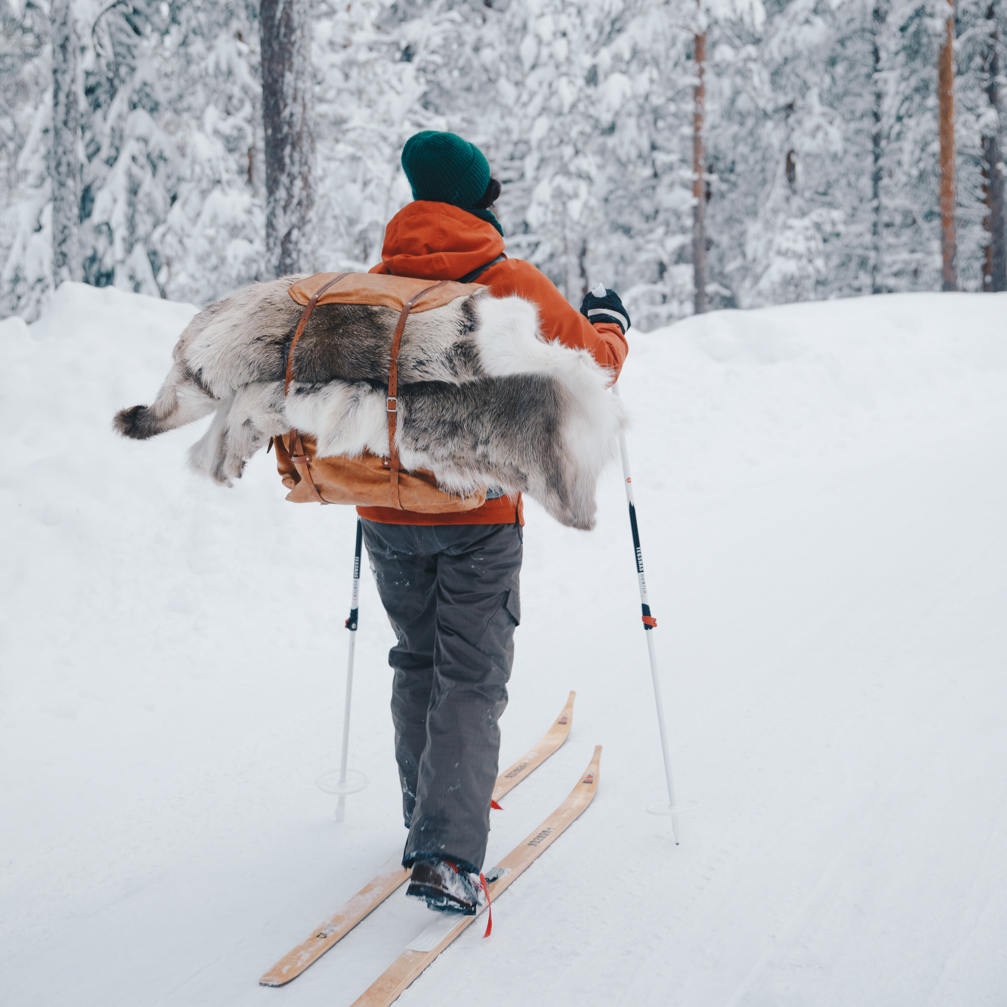 skidtur med tegnässkidor