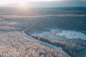 Vy över Granö skogarna