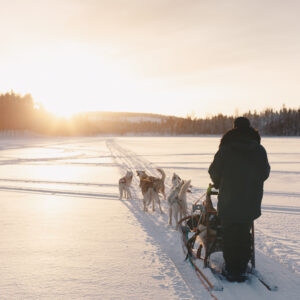hundspann