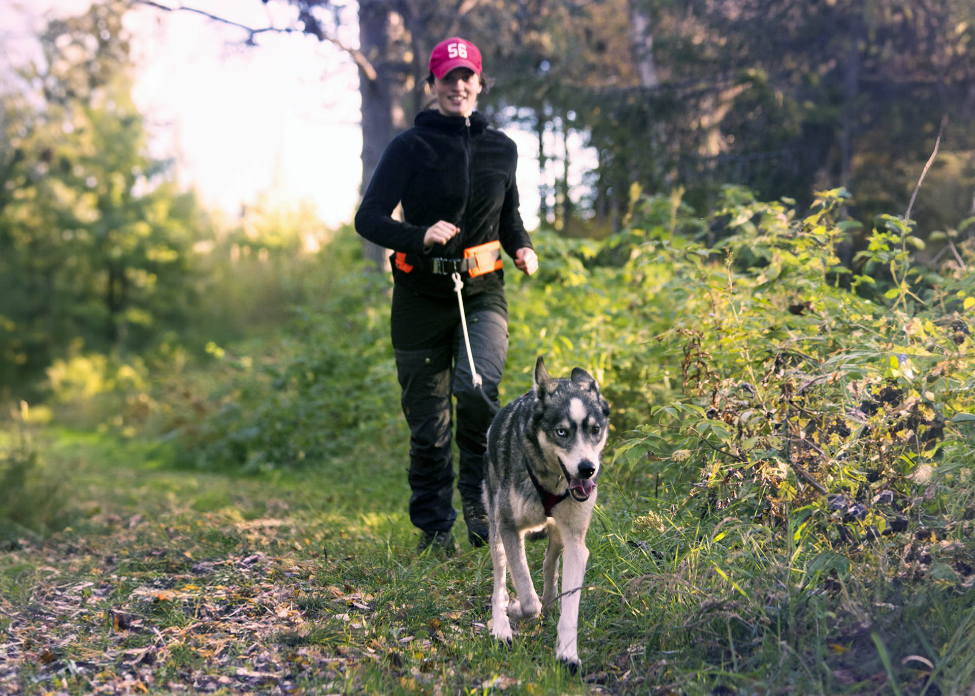 Husky Walk