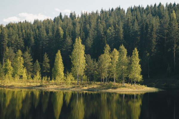 sjö sommar